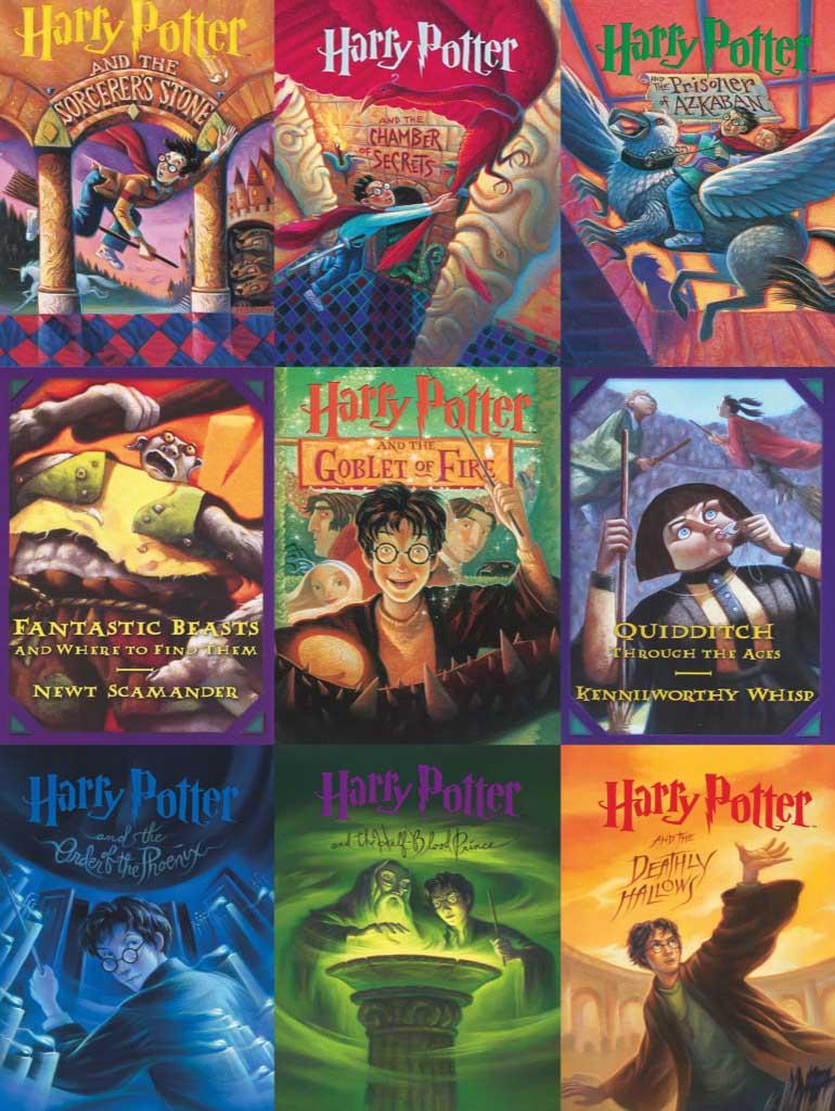 Harry Potter Book Cover Collage - 500 piece