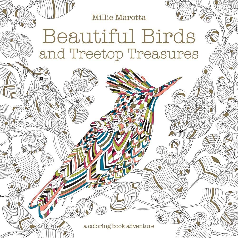 Beautiful Birds and Treetop Treasures Coloring Book