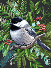Load image into Gallery viewer, Black-capped Chickadee - 500 piece
