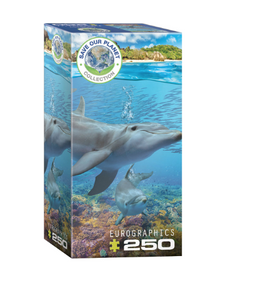 Dolphin - 250 piece
