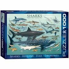 Sharks - 1000 piece