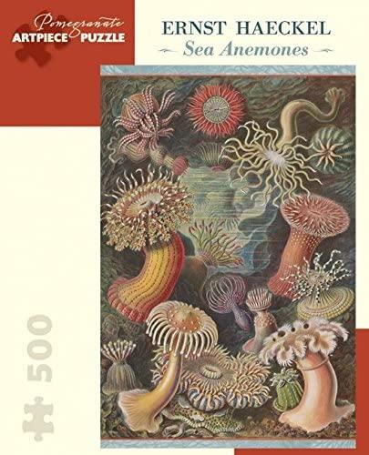 Ernst Haeckel: Sea Anemones - 500 piece
