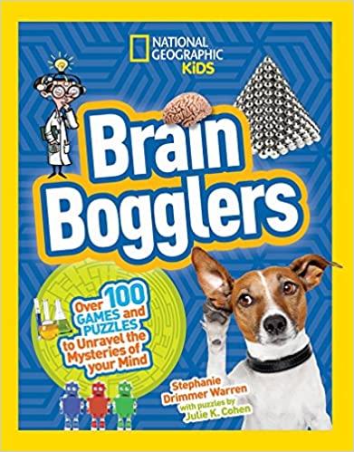 Brain Bogglers: Over 100 Games