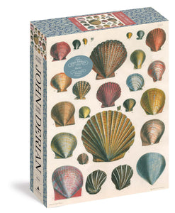 John Derian Shells - 1000 piece
