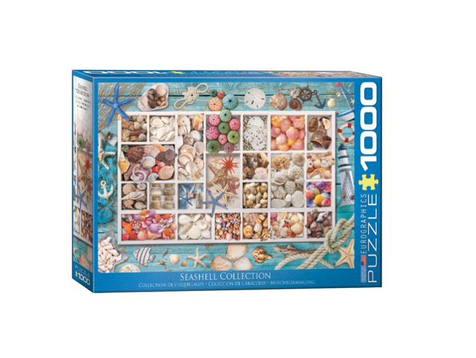Seashell Collection - 1000 piece